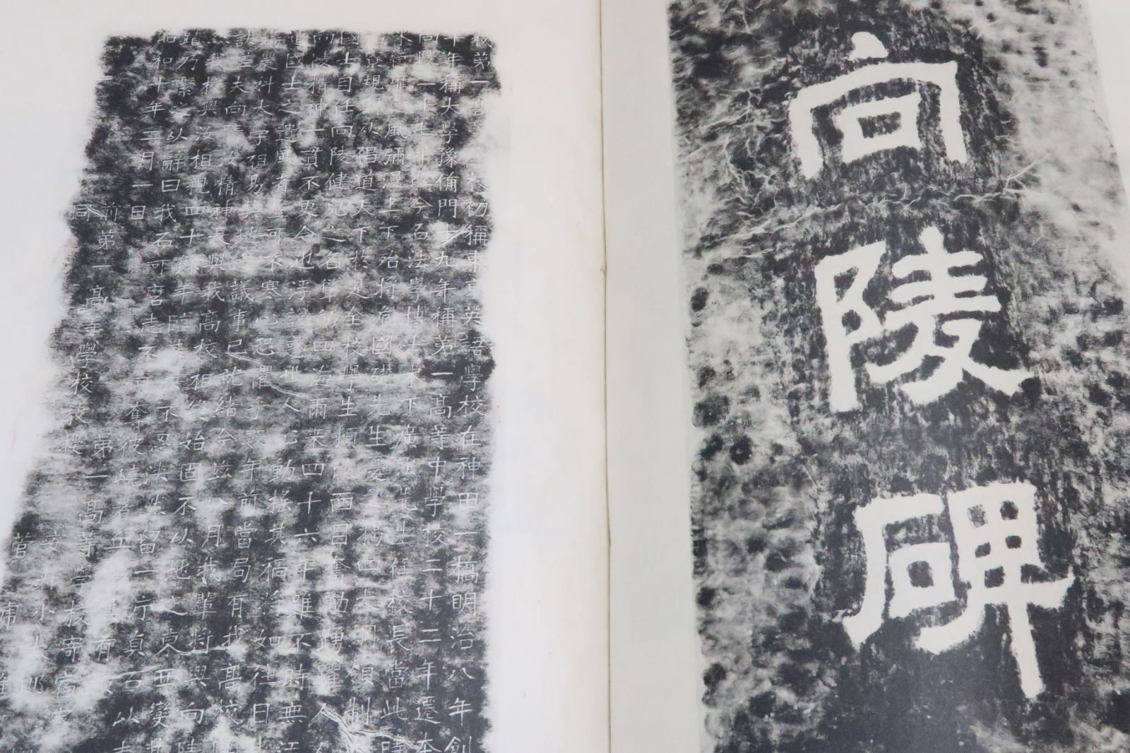 陵雲無為・菅虎雄先生遺墨法帖⁄一高同窓会⁄非売品⁄明治・昭和のドイツ語学者・夏目漱石の墓碑銘をかく・教え子に芥川竜之介・菊池寛 陵雲無為・菅虎雄先生遺墨法帖⁄一高同窓会⁄非売品⁄明治・昭和のドイツ語学者・夏目漱石の墓碑銘をかく・教え子に芥川竜之介・菊池寛