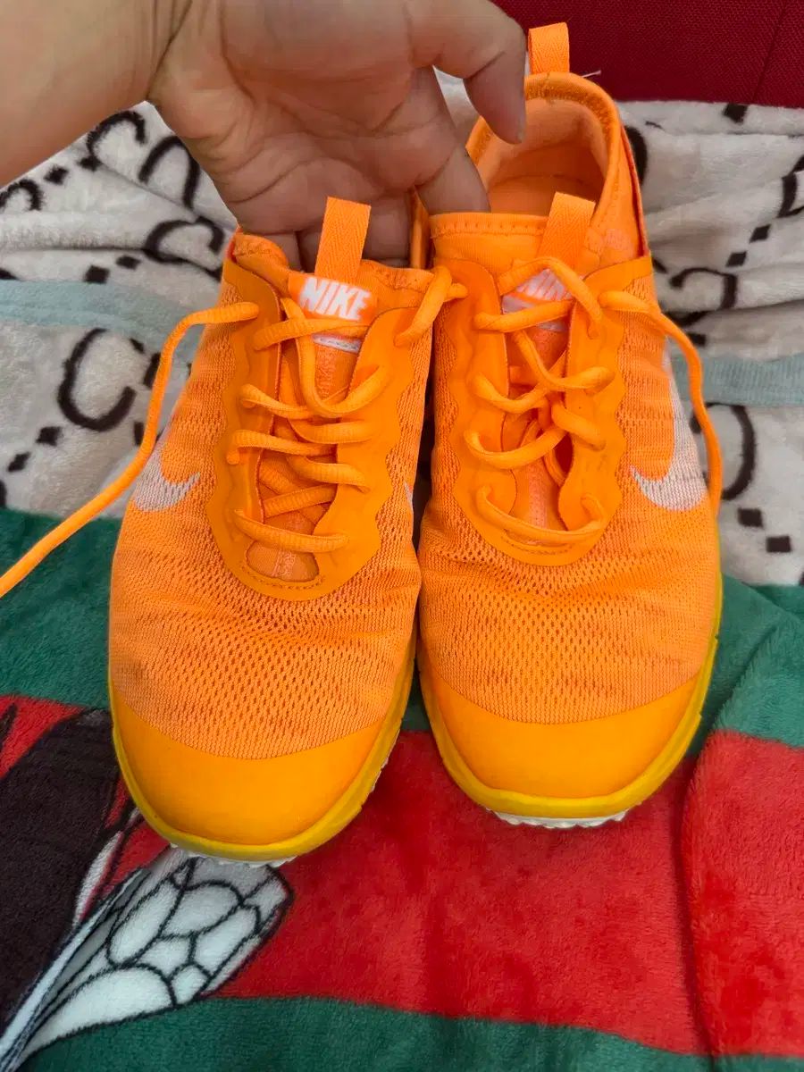 ナイキ レディース ゴルフシューズ 新品 ナイキ ゴルフ シューズ