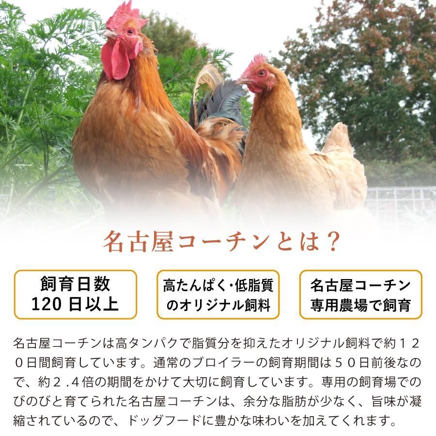 全年齢対応 シニア