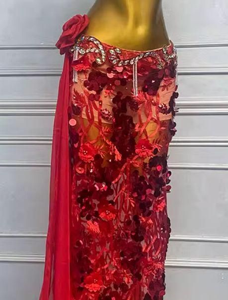 ベリーダンス オリエンタル衣装 薔薇 レッド ブラ スカート オーダーメイド WHITEMONARCHHOTEL_COM