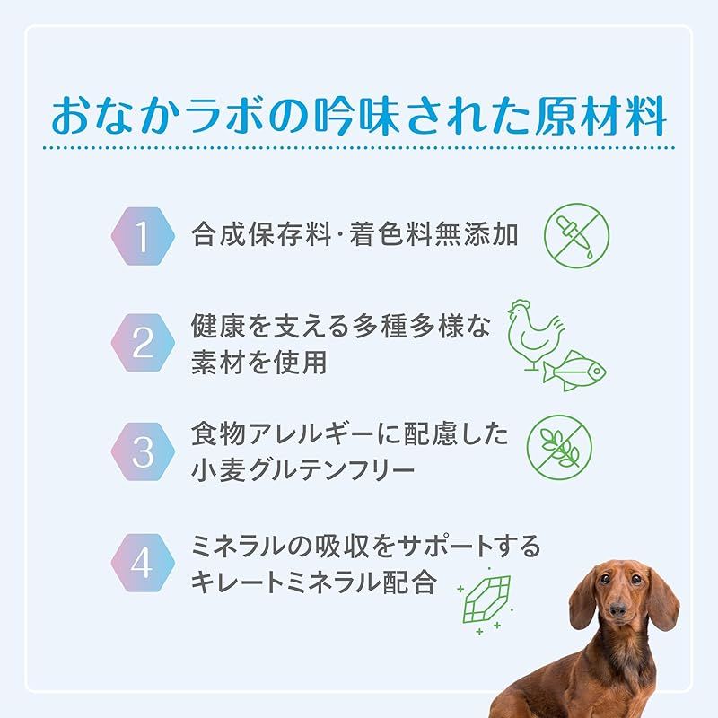 森乳サンワールド スーパーゴールド おなかラボ 成犬用 2.4kg 1 SKLAD-KIRPICHA_RU