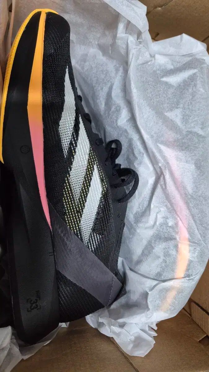 adidas アディダス 仙拓海 10 ウィメンズ 250