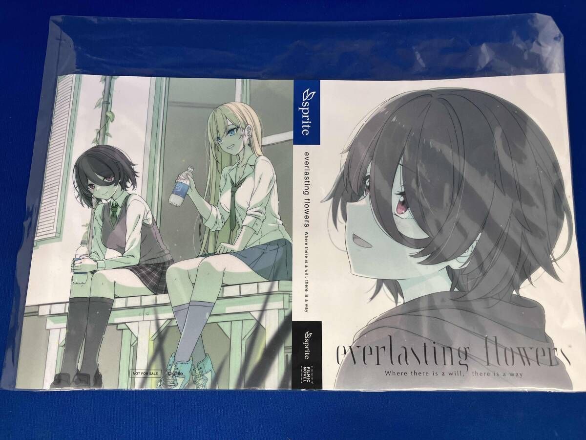 PS4 everlasting flowers 初回限定特装版 - メルカリ