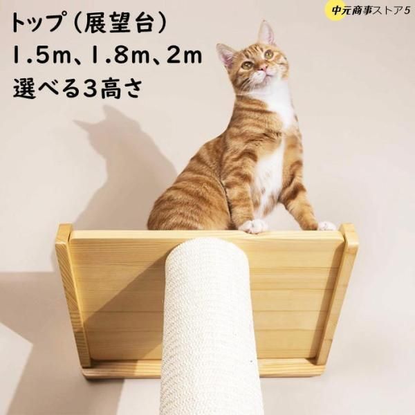 爪とぎ 運動不足
