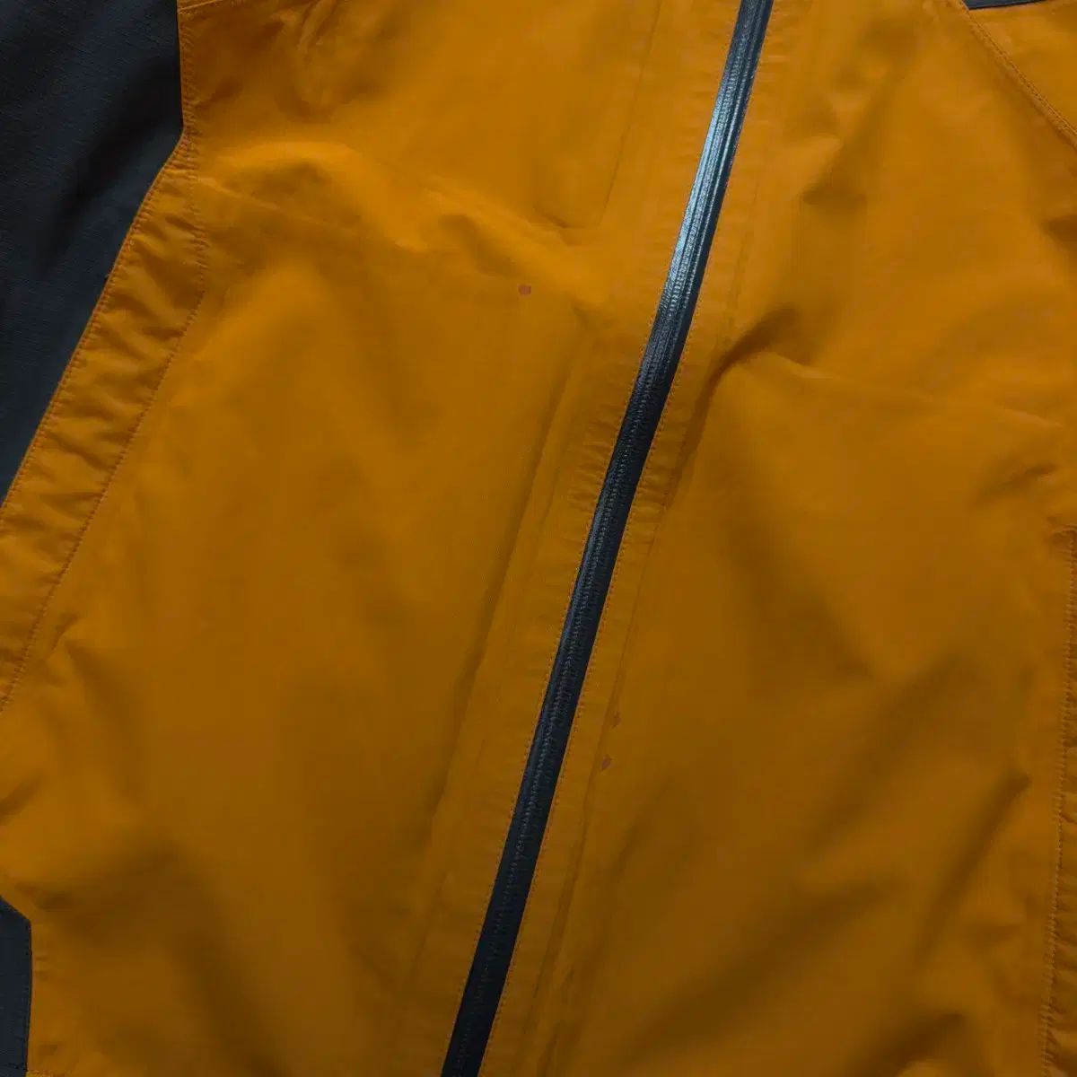 Salomon