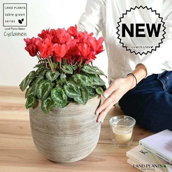 業務用】マービーアーティストブラシ陳列什器【非売品】 化粧品向け