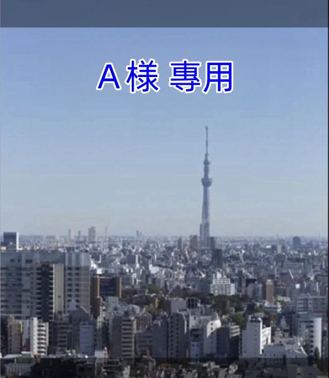 Ａ様 專用