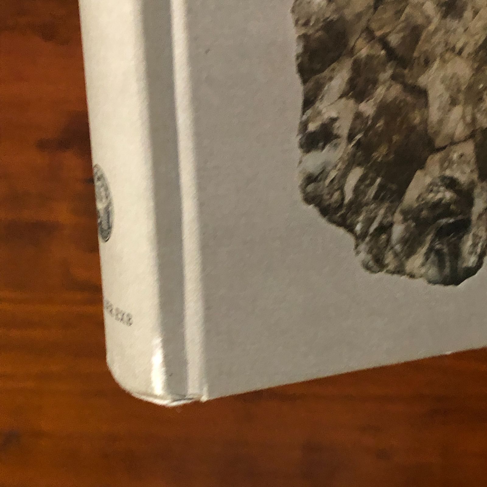 ロジェ・カイヨワ 作品集 ROGER CAILLOIS: LA LECTURE DES PIERRES 