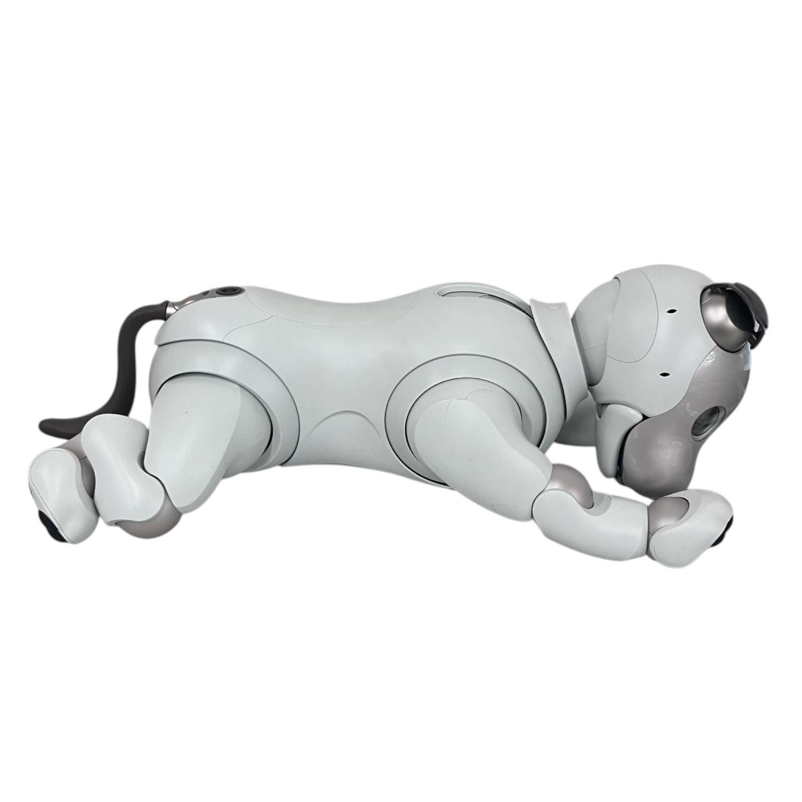 170971 ジャンク品 SONY ソニー aibo アイボ ERS-1000 ペットロボット