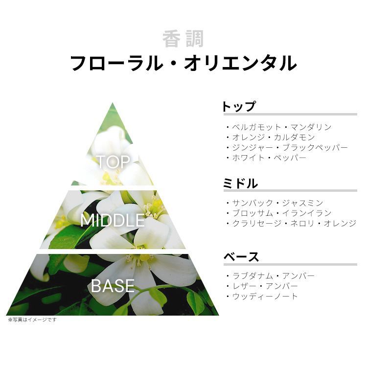 トムフォード ジャスミン ルージュ EDP SP 100ml 香水 フレグランス JASMIN ROUGE TOM FORD