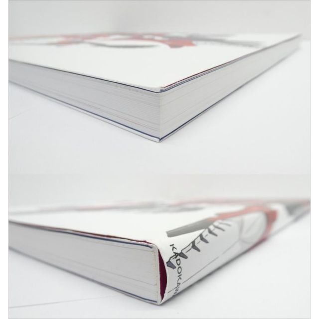 週末セール【初版】F.S.S. DESIGNS 7 ASH DECORATION Amazon.co.jp: F.S.S. DESIGNS 7 ASH DECORATION : 永野 護: 本