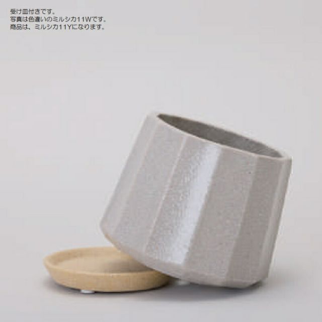 Y Ceramic