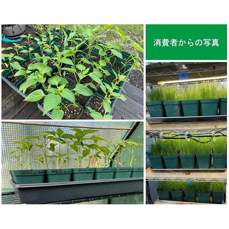 RooTrimmer 育苗ポット