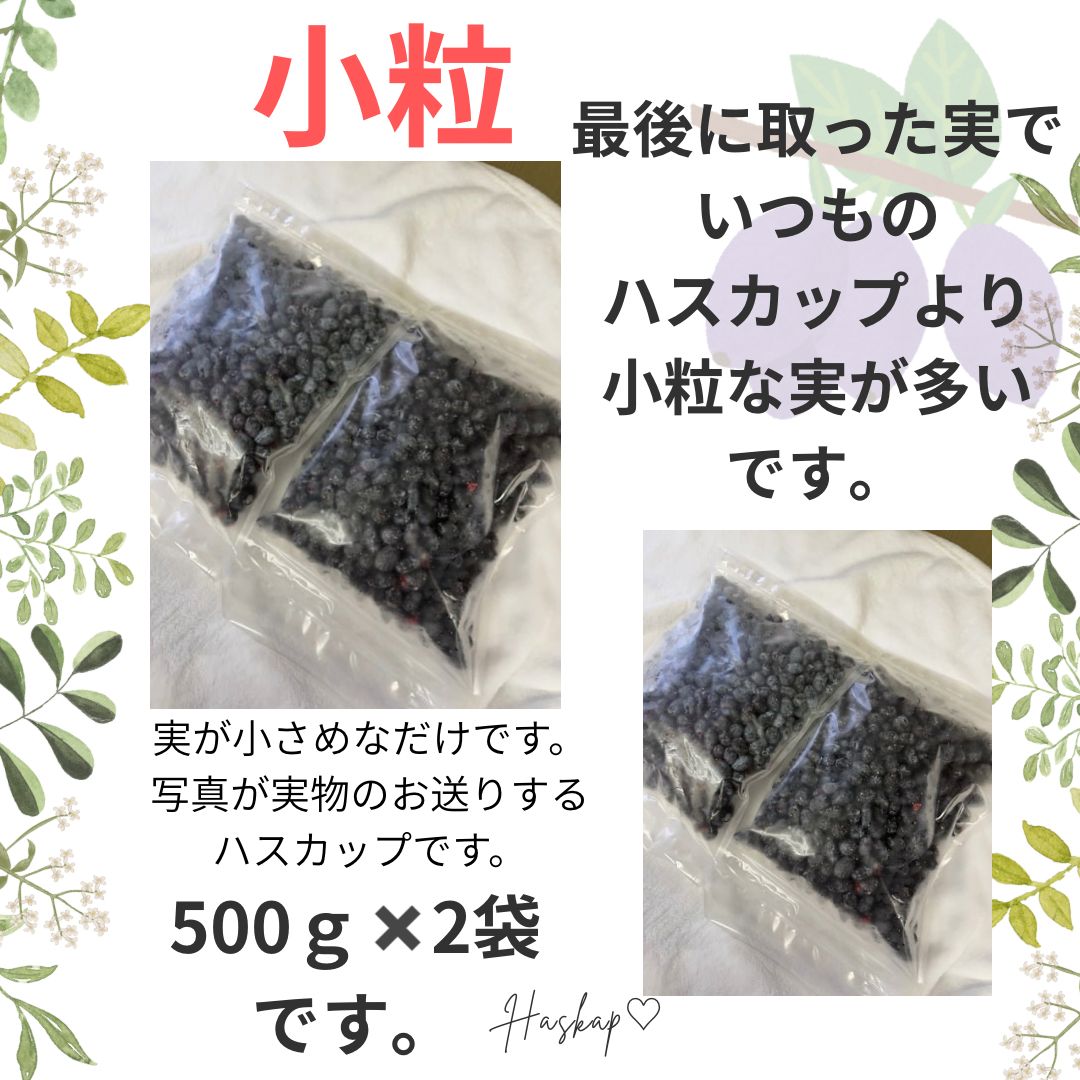 小粒最後です！高評価⭐️ハスカップ 数量限定！2025年度 北海道