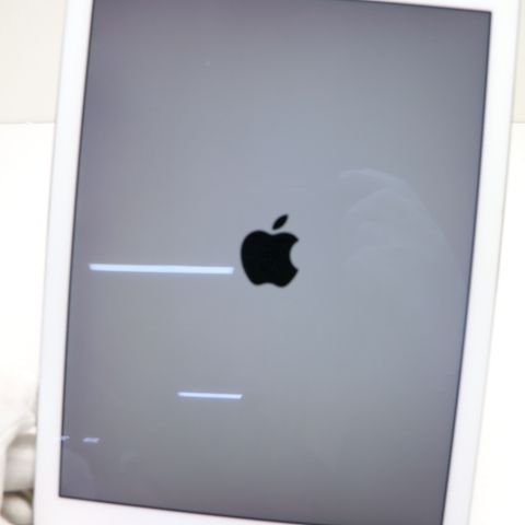 超美品 SIMフリー iPad Pro 9.7インチ 32GB シルバー タブレット 白