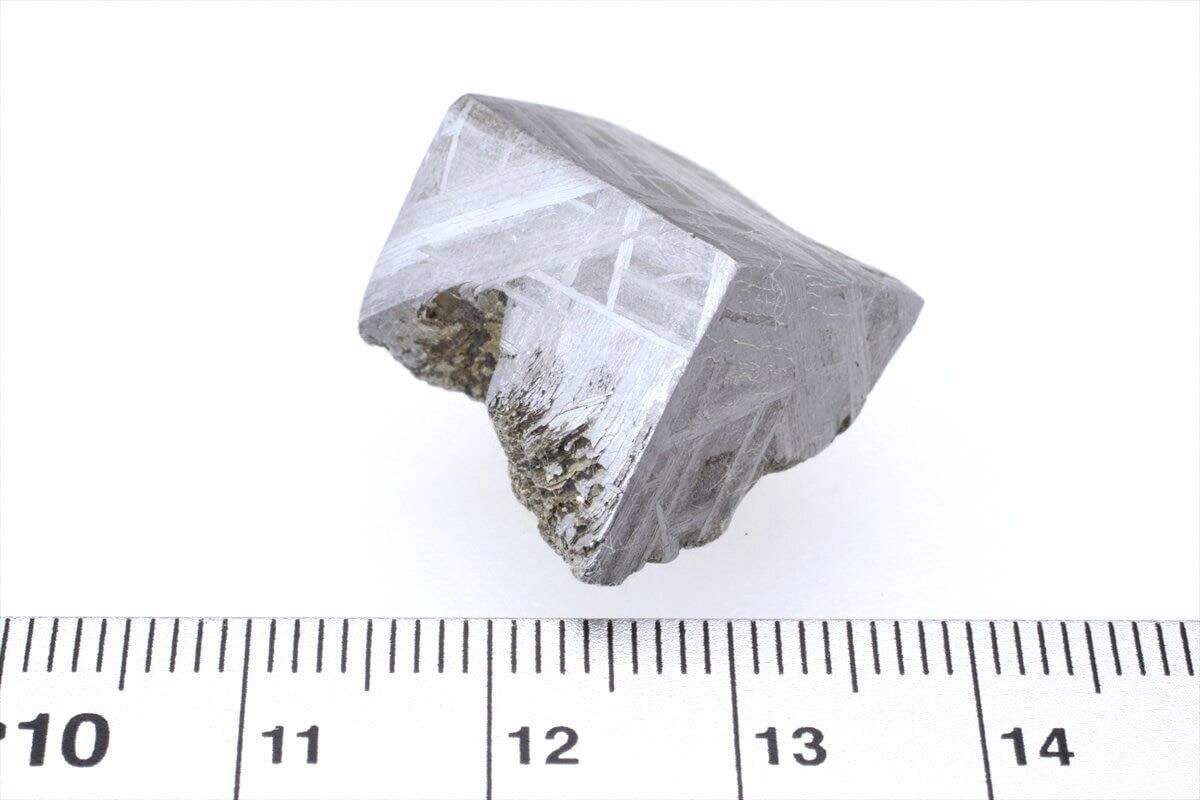 ムオニナルスタ ムオニオナルスタ 20g スライス カット 標本 隕石 オクタヘドライト 165