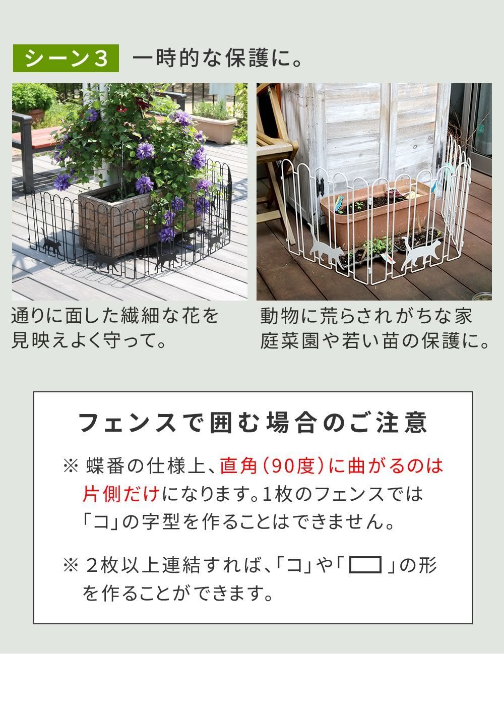 ブラックホワイト