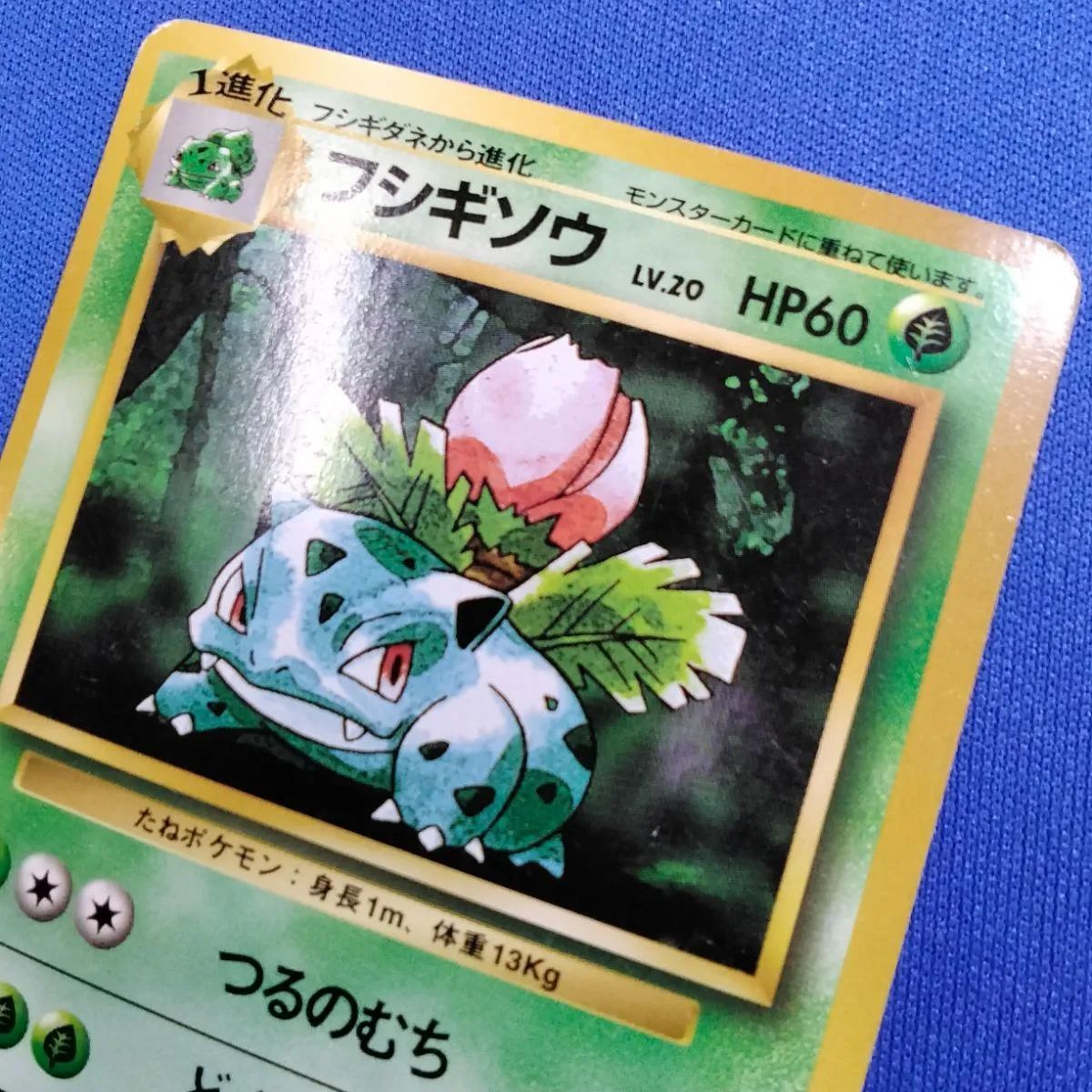 ポケモンカードゲーム 【旧裏面 初版(マーク無し)】 No.002 フシギソウ