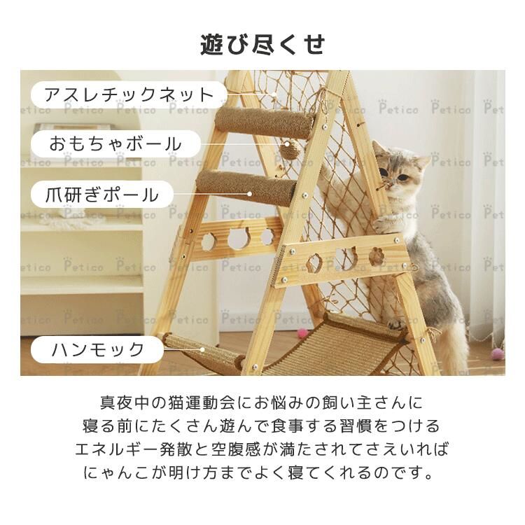 コンパクト