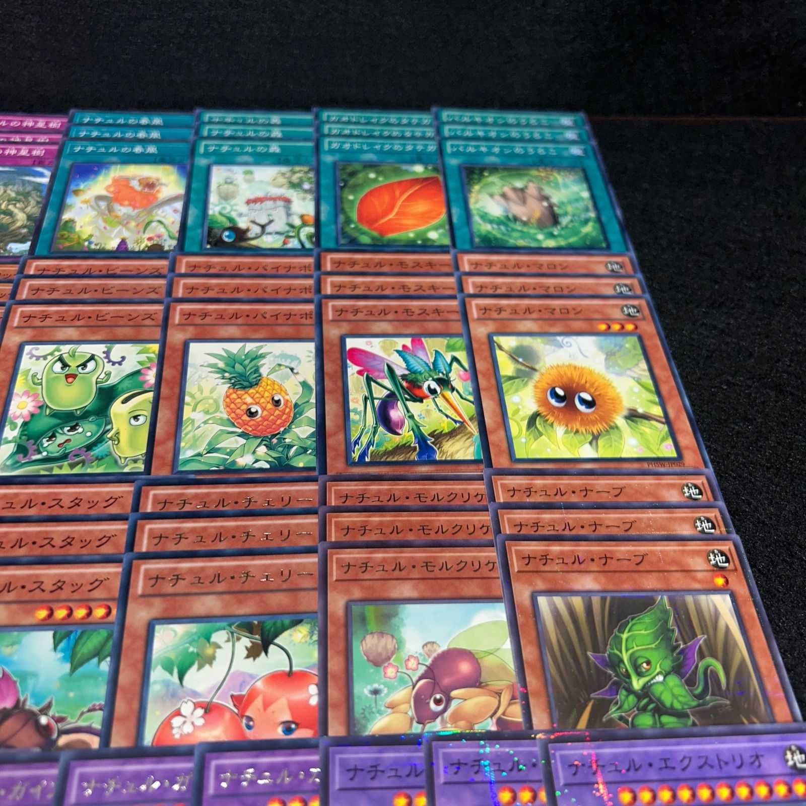 No.PP14 遊戯王 ナチュル デッキパーツ 構築用 ナチュルビースト
