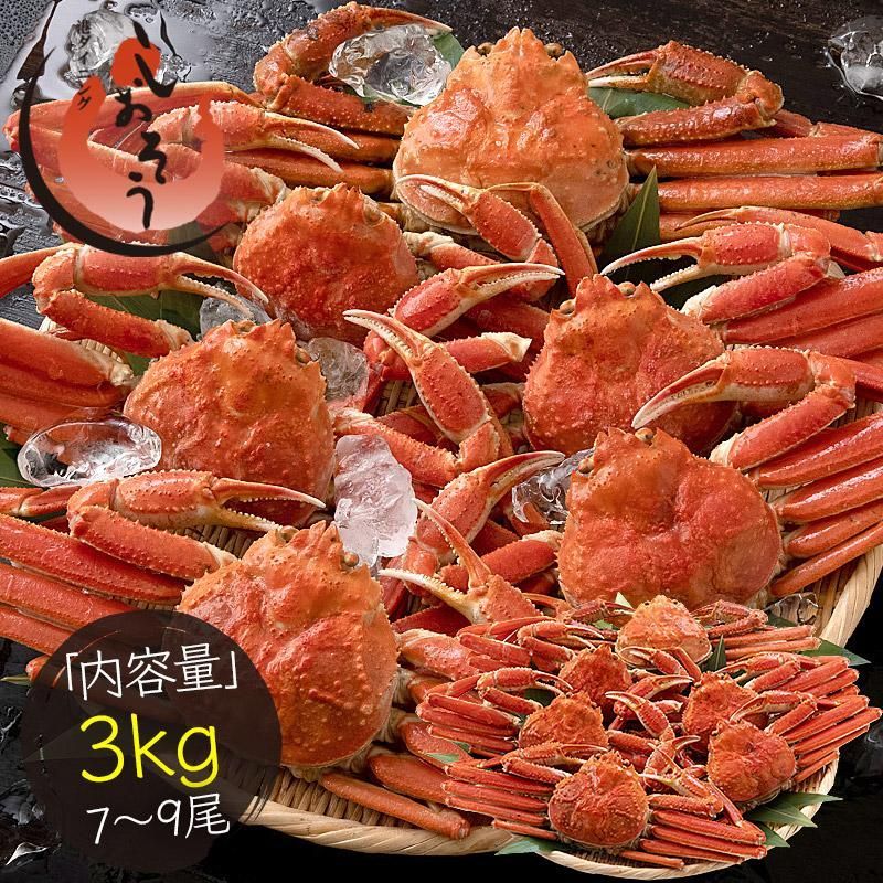 北海道産 ズワイガニ 姿 3kg 7～9尾入り オオズワイガニ かに カニ 蟹 ズワイガニ ボイル ずわいがに ズワイ蟹 同梱不可