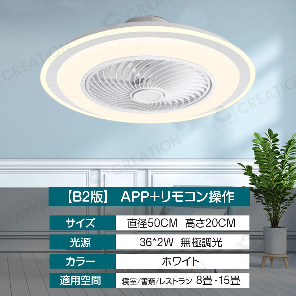 B2版 50cm
