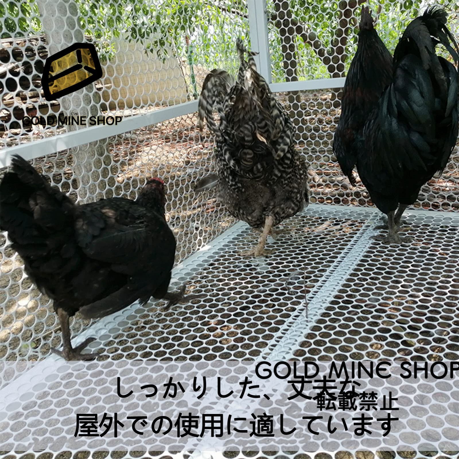 2mm厚ワイヤーチキンケージ 大型