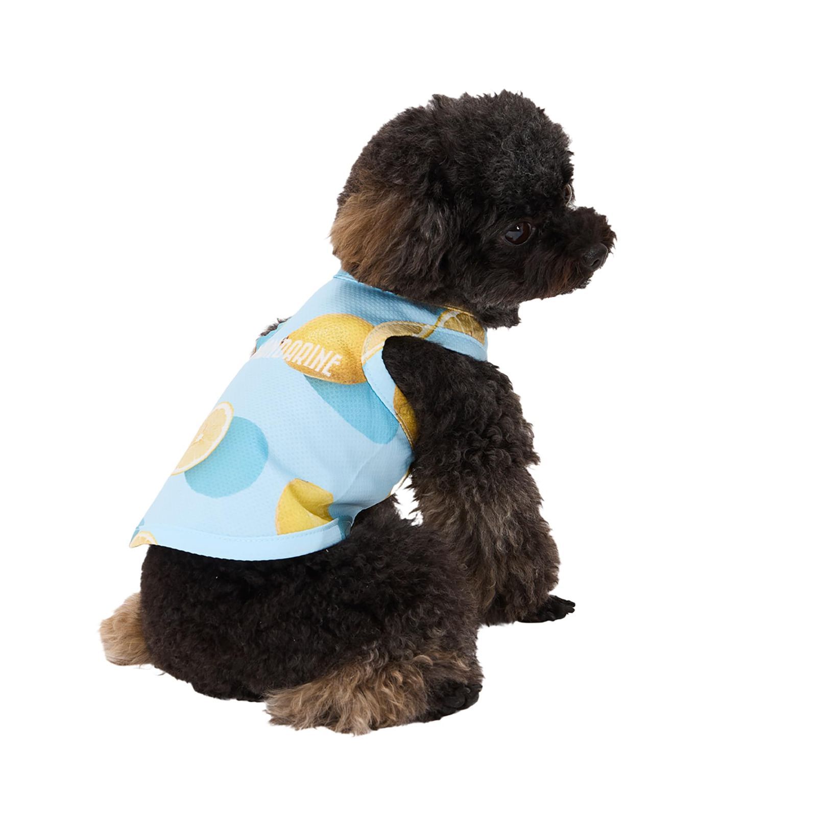 送込！キッズ ジュニア 子供用 スノーボードウェア130ブーツ22～22.5cm GREGORY バックパック デイパックLTネイビー/レッド ライトウェイト