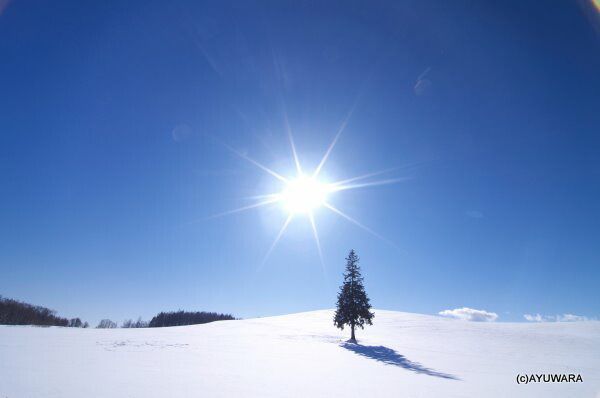 モダン アートフレーム