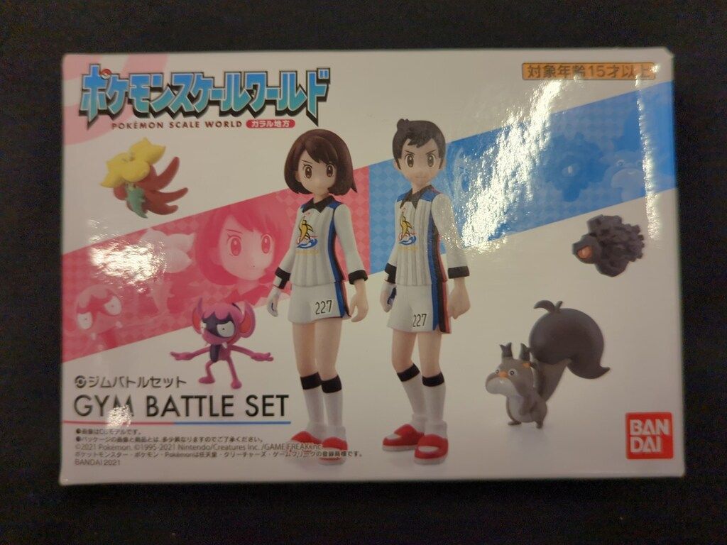 ガラル地方　ポスター ポケモン - ポケモン ソード・シールド ガラル地方 ポスターの