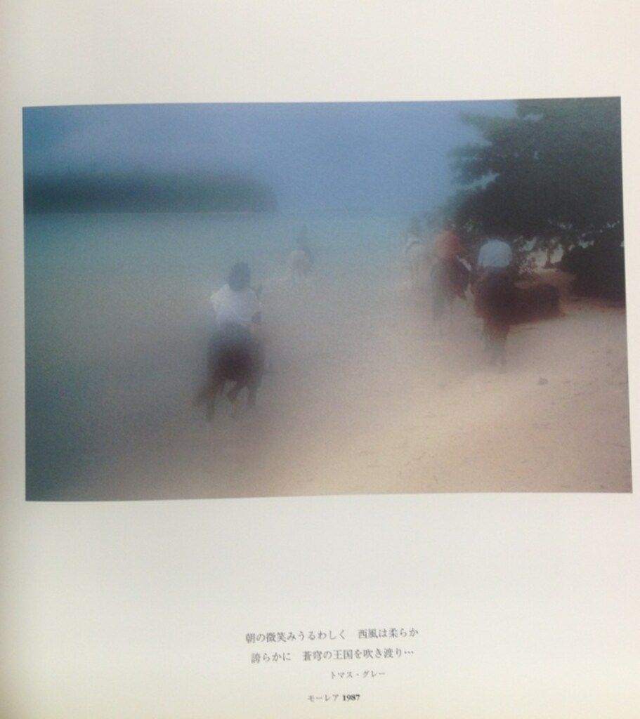 David Hamilton 陽の当たる場所 (帯付)