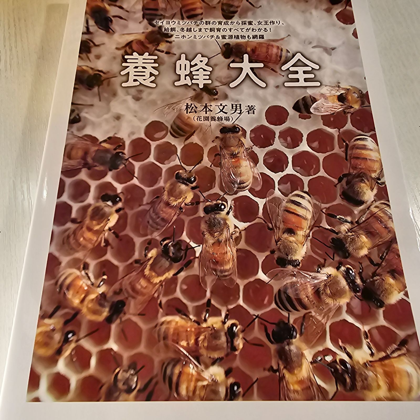 養蜂大全 セイヨウミツバチの群の育成から採蜜、女王作り、給餌