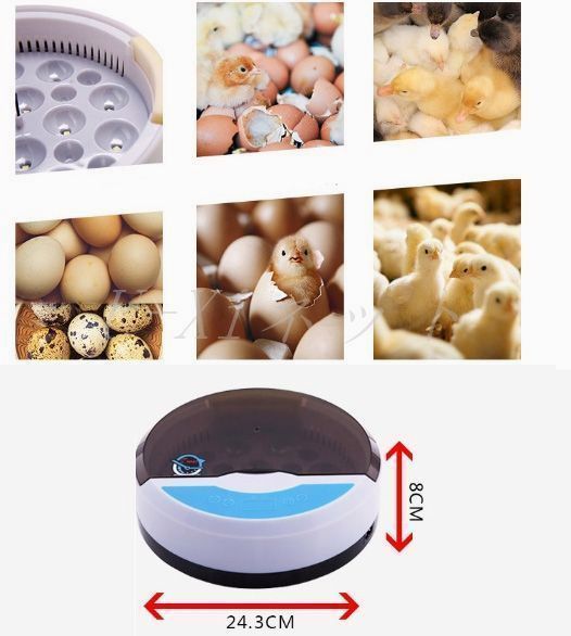 孵卵器