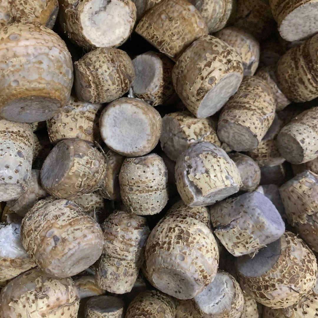 メルカリshops 沖縄産 田芋 タイモ 500g 小玉 冷蔵便 メルカリshops 沖縄産 田芋 タイモ 500g 小玉 冷蔵便