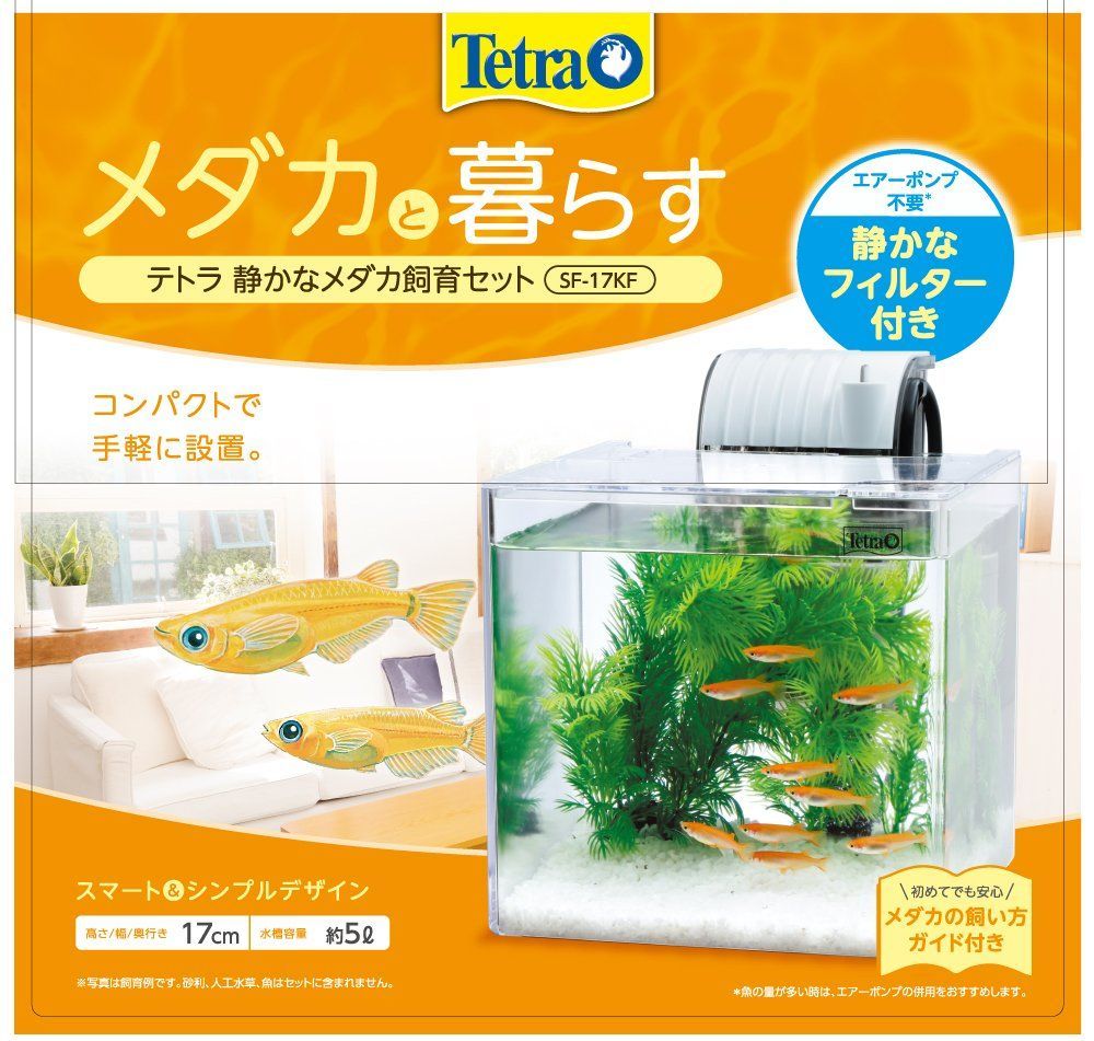 パーティを彩るご馳走や 新品 未使用 在庫セール テトラ Tetra テトラ 静かなメダカ飼育セット Sf 17 魚用品 水草 Www Daijoubunamono Jp Www Daijoubunamono Jp