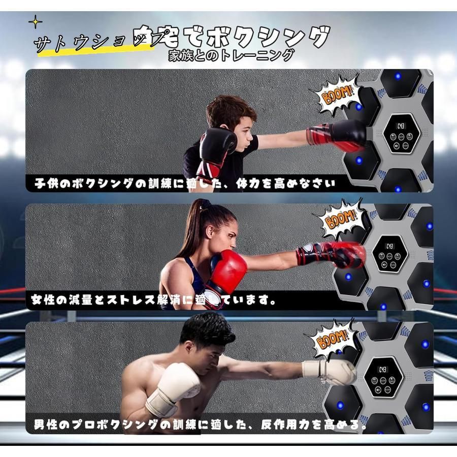 INNSTAR レジスタンストレーニングバンド MMA ボクシング