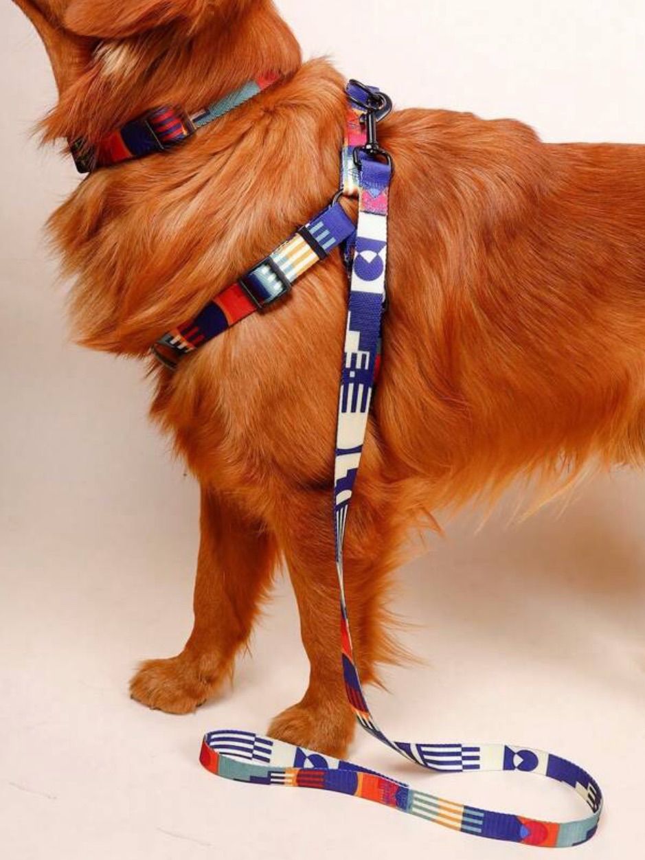 【セット販売】ハーネス　首輪　リード【S.Mサイズ】北欧デザイン　カラフル　マルチカラー　レトロ色　おしゃれ　かわいい　小型犬  中型犬