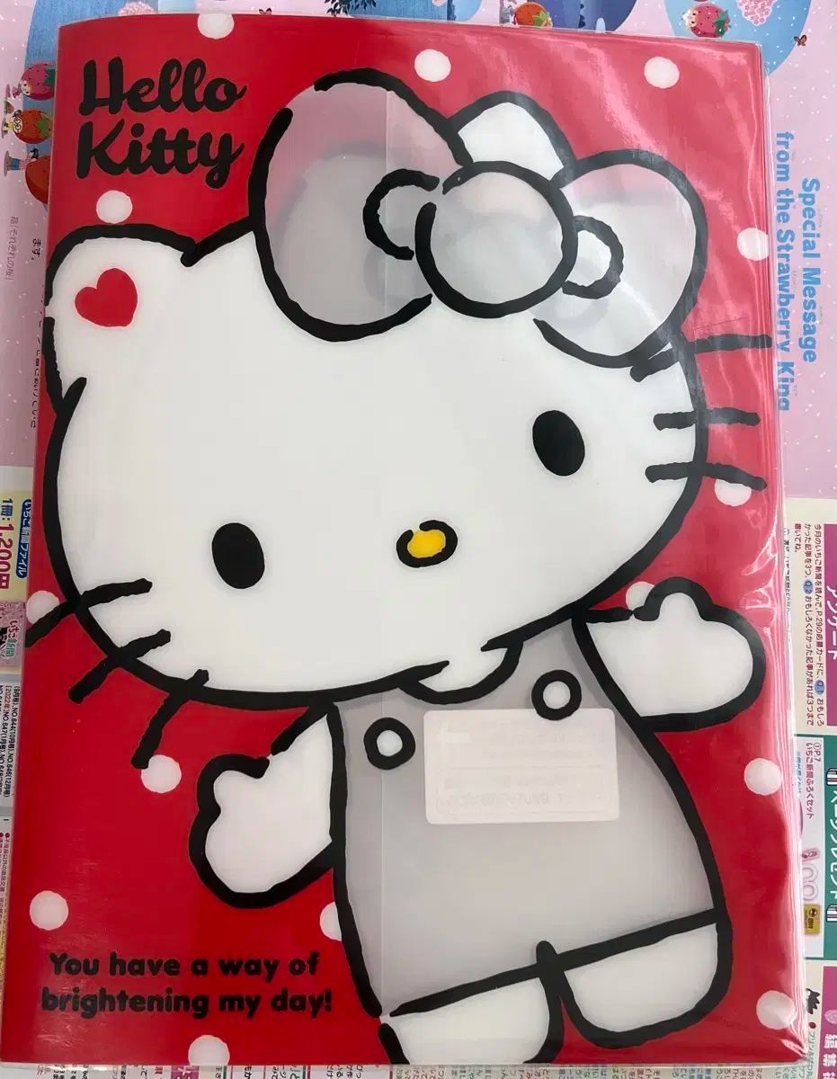 ハローキティ　クリアファイルブック　野いちご サンリオ いちご新聞 保管 ハローキティ（HELLO KITTY