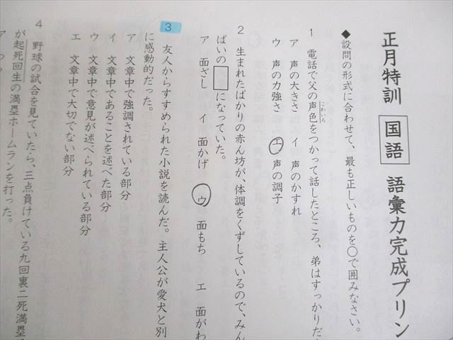 SAPIX サピックス 小6 SS特訓 総仕上げ！語彙力完成プリント