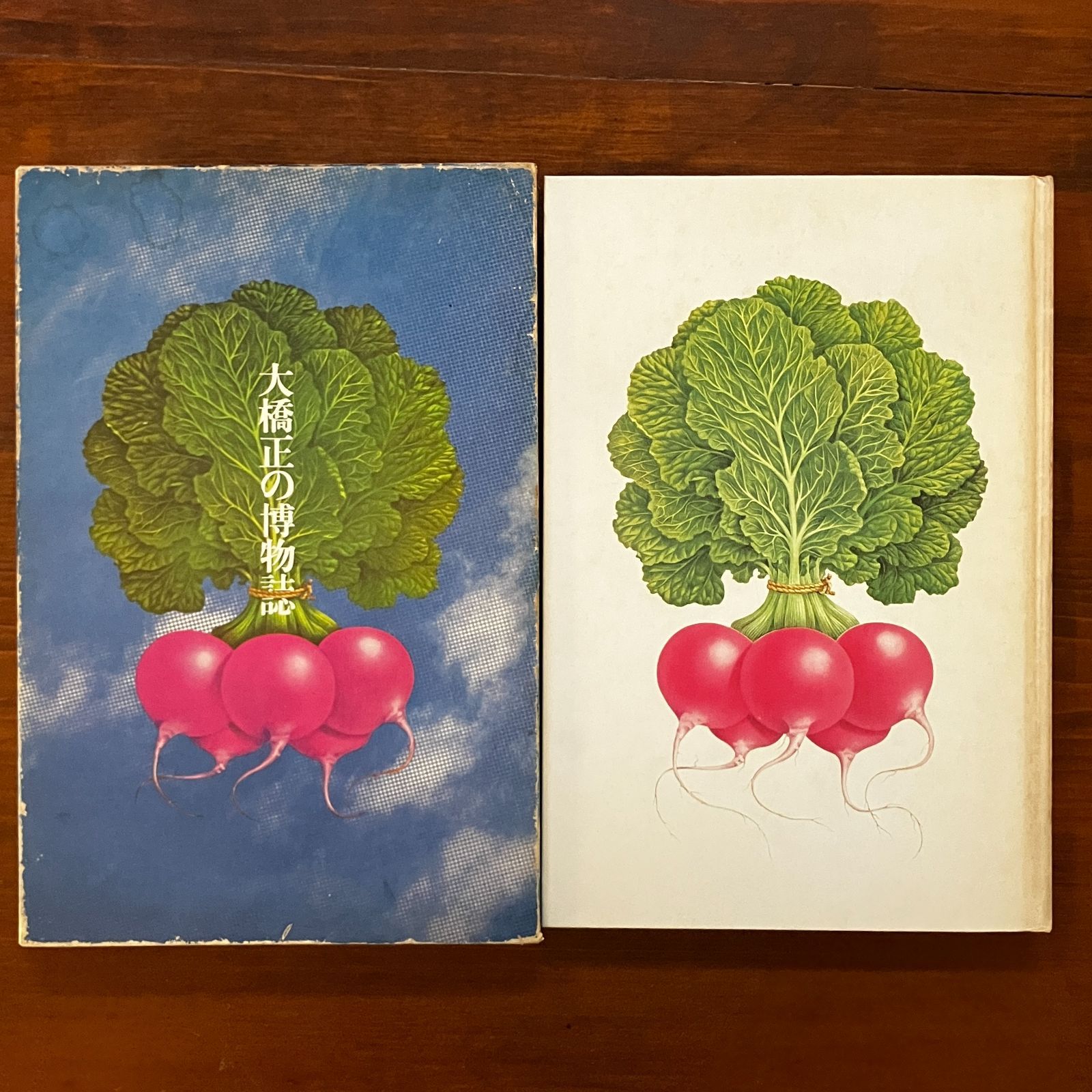 大橋正の博物誌　美術出版社　1979年 大橋正の博物誌 美術出版社 1979年 - メルカリ