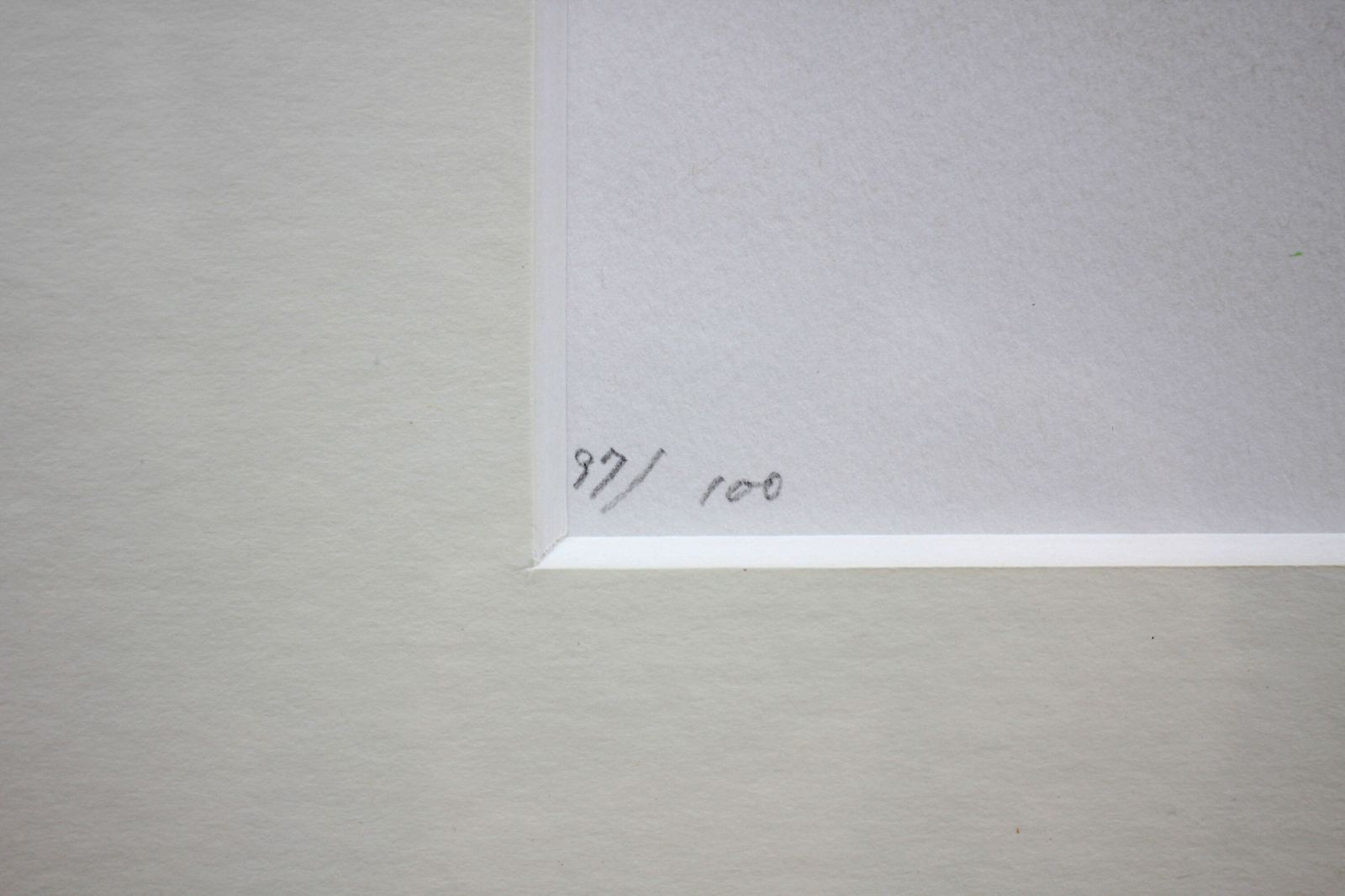 山口健智『花』リトグラフ【真作保証】 絵画 山口健智『花』リトグラフ【真作保証】 絵画 - メルカリ