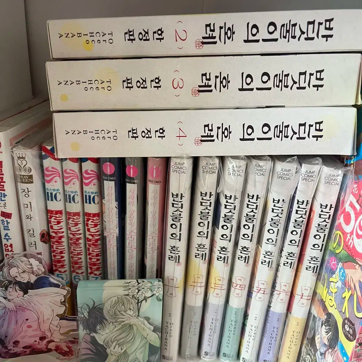 ホタルの 結婚式 1 ー 7 巻 全巻 版 含む 漫画