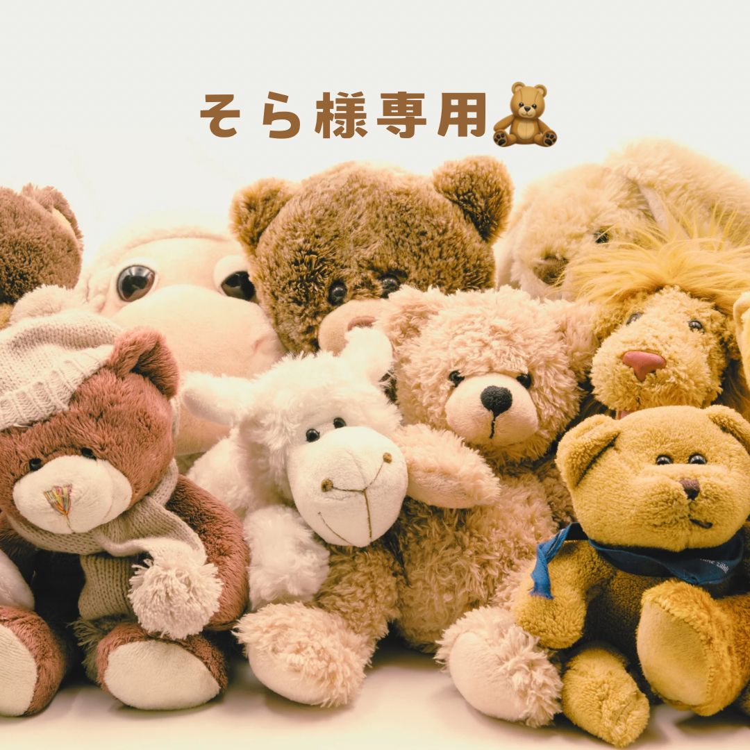 そら様 専用 そら様専用 sora様専用ページ いつもありがとうございます