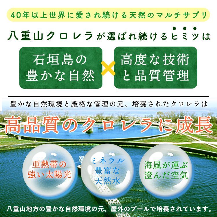 ヤエヤマクロレラ