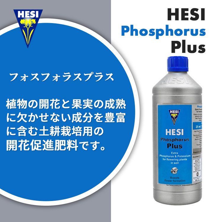 1L＋