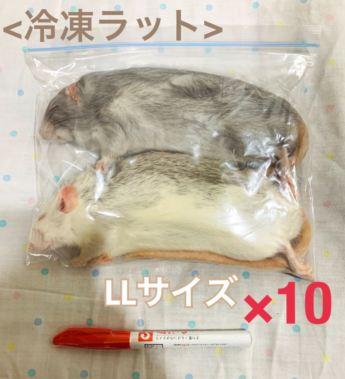 LLサイズ 冷凍ラット 10袋 - メルカリ