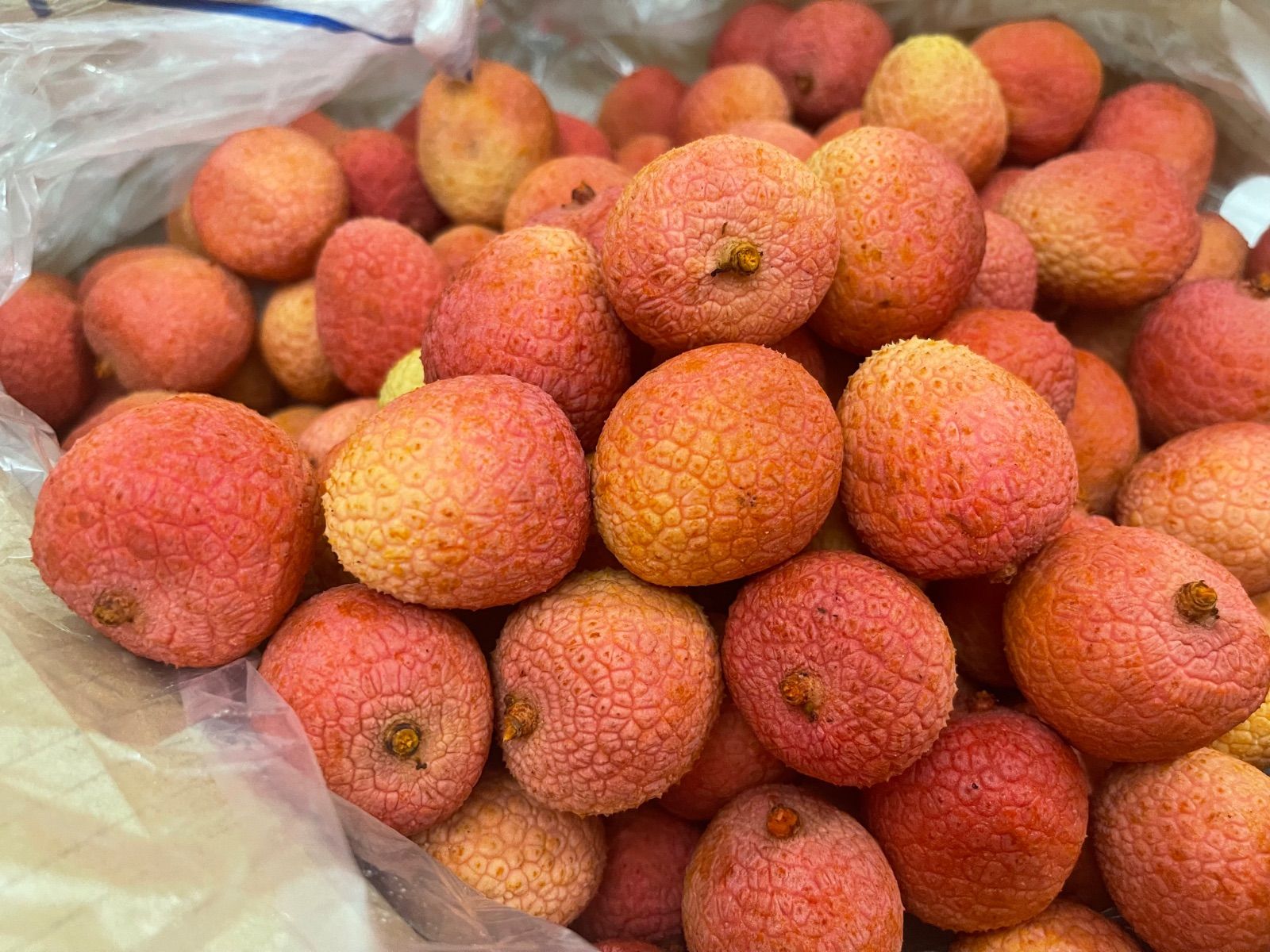 ベトナム産　ライチ　5キロ 新鮮ベトナム産ライチlychee5kgクール便発送 ベトナム生ライチ 5 kg 生