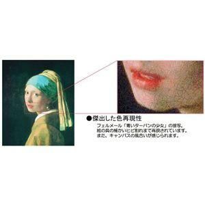 ドニ 「セザンヌ礼賛」 原画同縮尺近似（30号）（プリハード・デジタグラ） フィットフロップ レディース ヒール シューズ F-Mode Leather⁄Cork