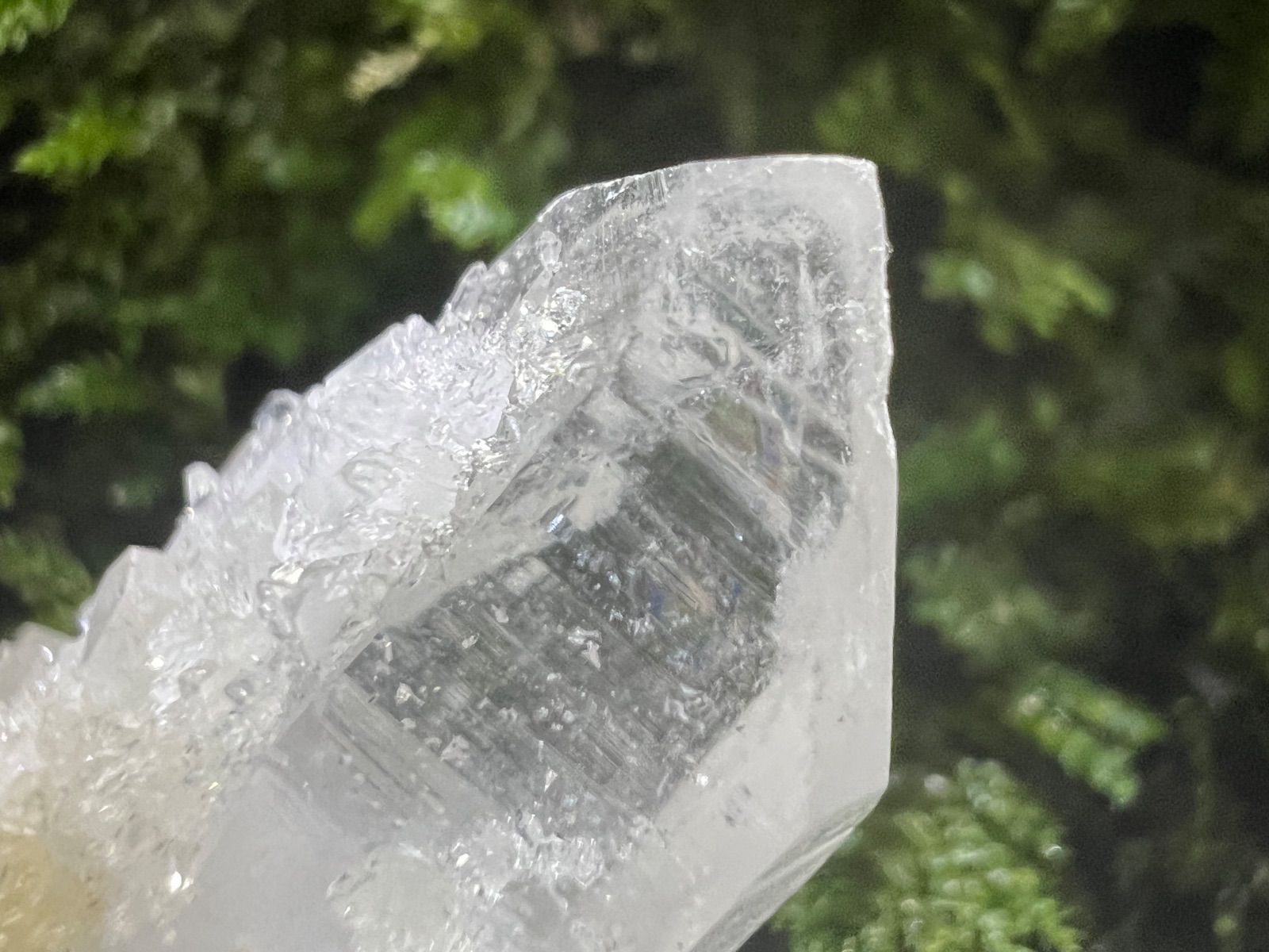 龍脈の精髄 ― 宮崎産 両剣水晶＋クラスター付き＋虹入り 【保護猫活動支援】 龍脈の精髄 ― 宮崎産 両剣水晶＋クラスター付き＋虹入り 「調和と再生