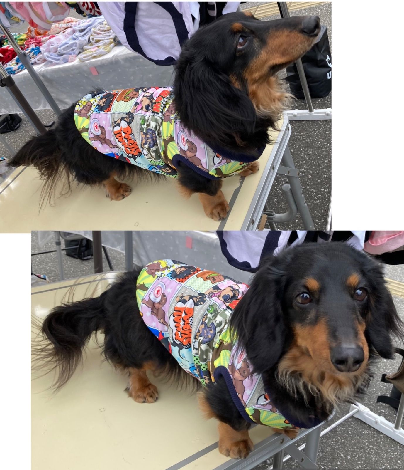 アメコミ風ダックスタンク・ハンドメイド犬服 犬の洋服 ワンコ服 ダックスフント ミニチュアダックス